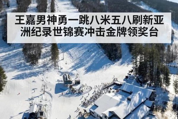 王嘉男神勇一跳八米五八刷新亚洲纪录世锦赛冲击金牌领奖台