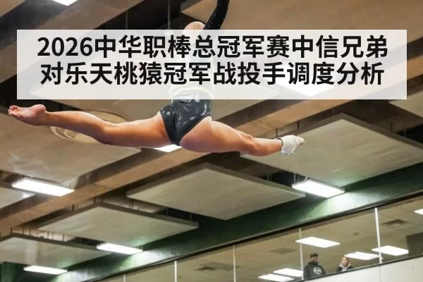 2026中华职棒总冠军赛中信兄弟对乐天桃猿冠军战投手调度分析